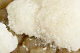 Scolecite Crystals on Honey-Colored Stilbite - India #365999-1